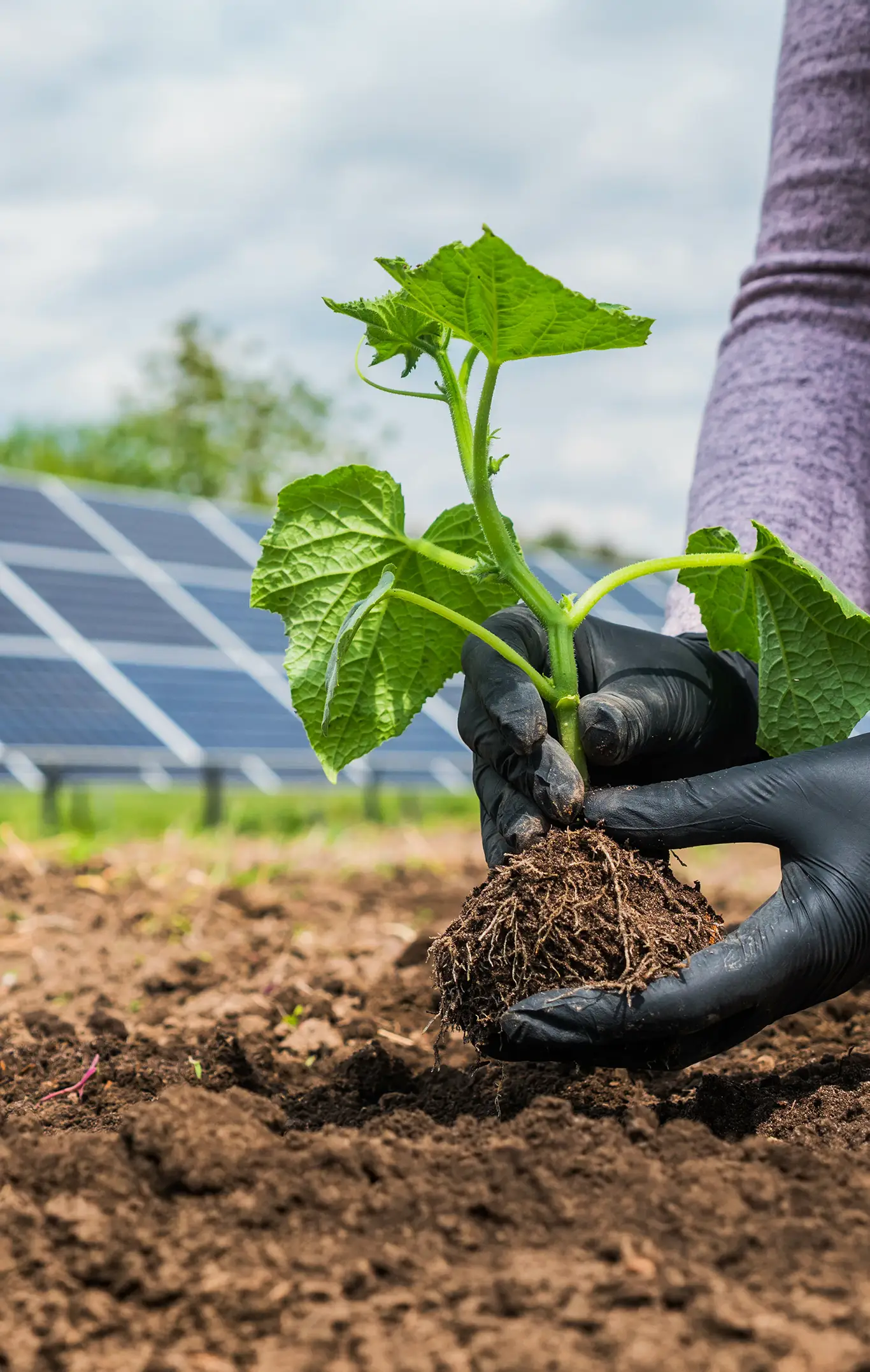 Agricoltura sostenibile ed efficiente