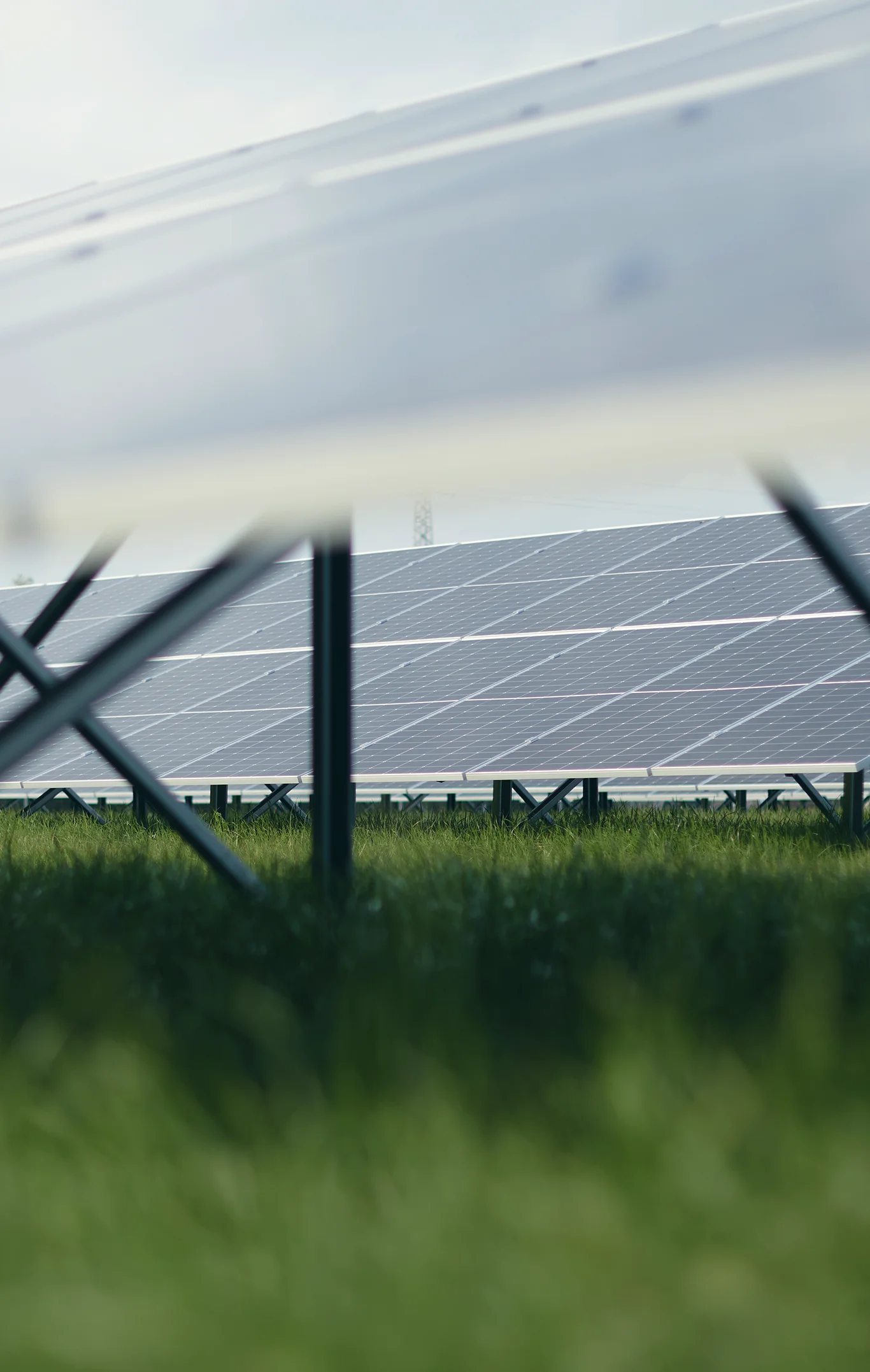 Primo piano pannelli fotovoltaici a terra